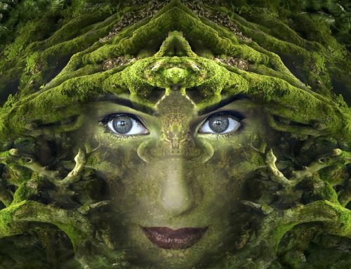 WILD WOMAN